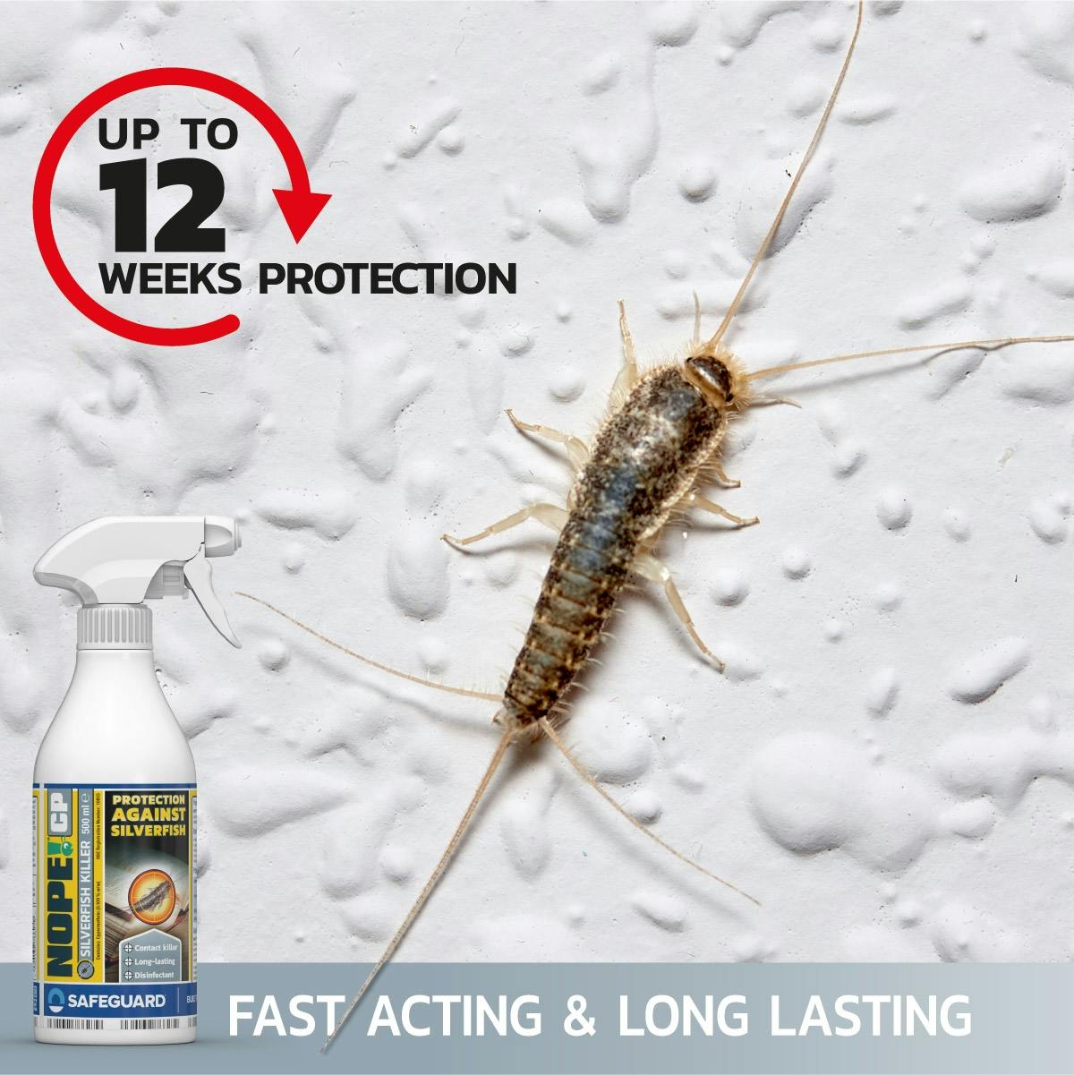 NOPE CP Carpet Beetle Killer Spray (500ml) Fast-acting, Odourless, Repellent  and Disinfectant Carpet Beetle Spray. HSE Approved