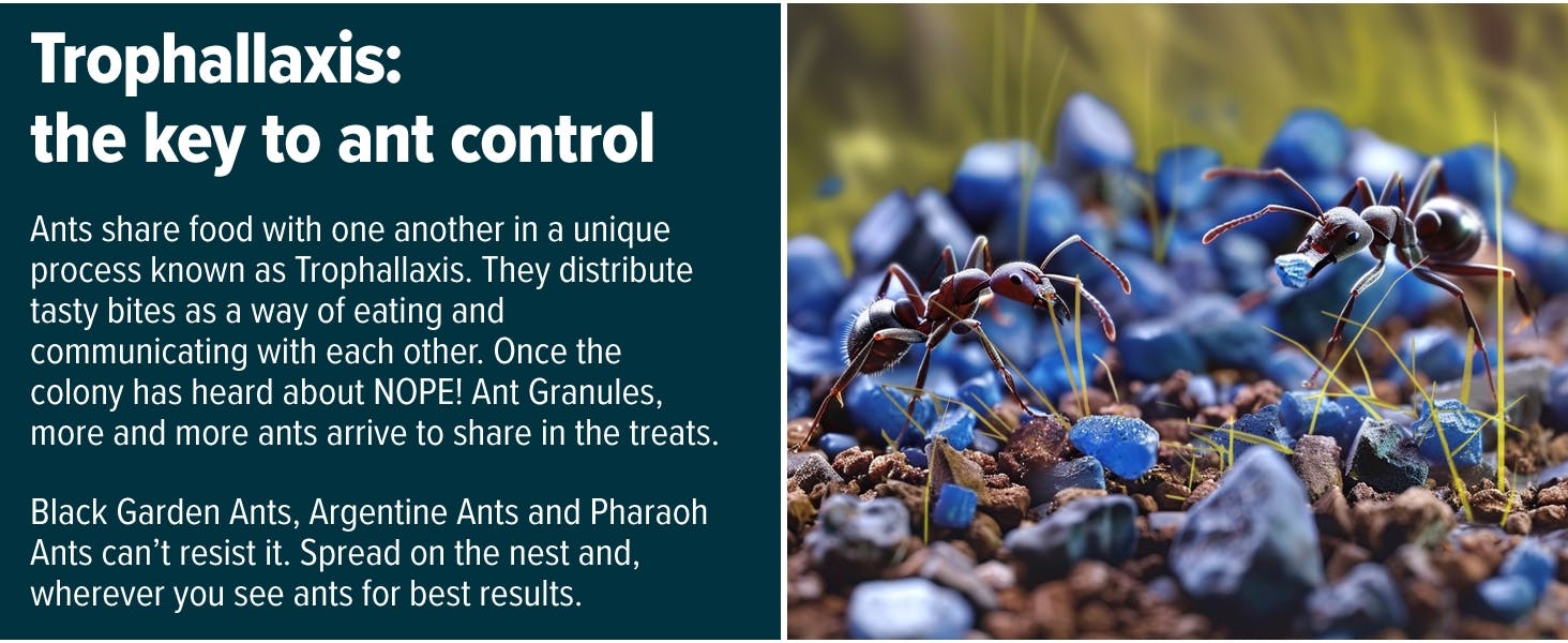 Trophallaxis is the key to ant control