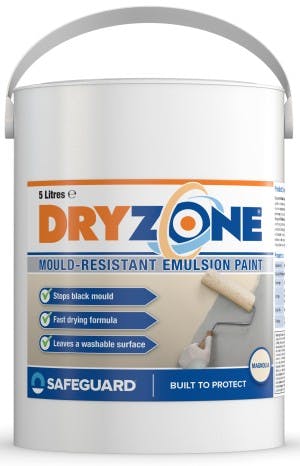 Dryzone Anti-Mould Paint