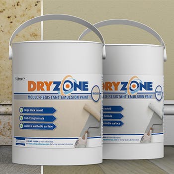 Dryzone Mould Resistant Emulsion Paint