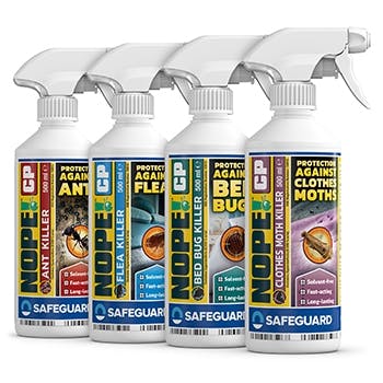 NOPE CP Carpet Beetle Killer Spray (5 L) Fast-acting, Odourless, Repellent  and Disinfectant Carpet Beetle Spray. HSE Approved