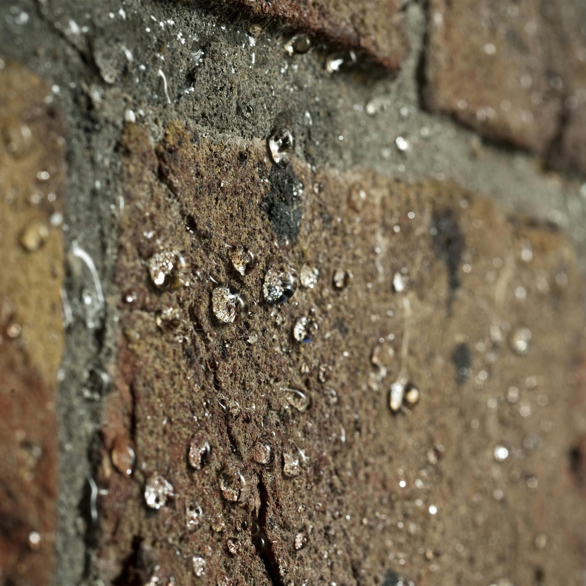 Raincheck protects walls from rain penetration